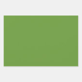 Avocado Green Geschenkpapier Set (Vorderseite)