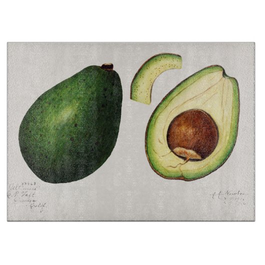 Avocado Illustration Schneidebrett (Vorderseite)