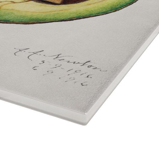 Avocado Illustration Schneidebrett (Ecke)