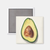 Avocado Magnet (Vorderseite/Rückseite)