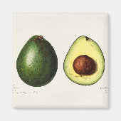 Avocado Magnet (Vorne)