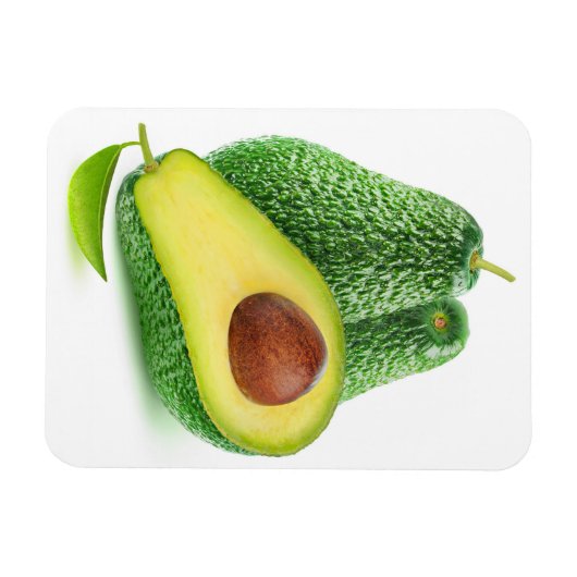 Avocado Magnet (Horizontal)