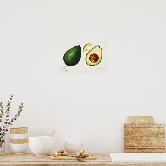 Avocado (Permea) Fruchtfarben Poster (Küche)