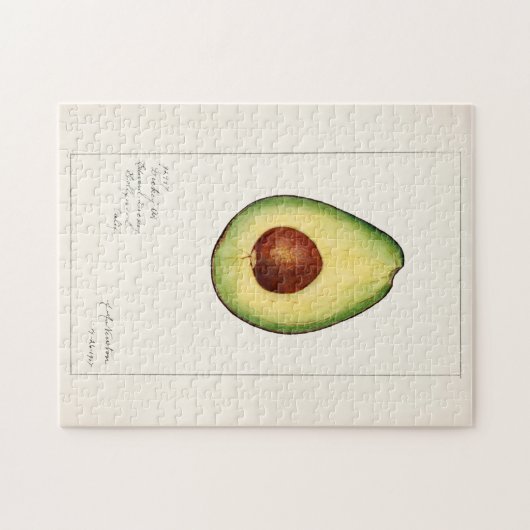 Avocado (Permea) Fruchtfarben Puzzle (Horizontal)