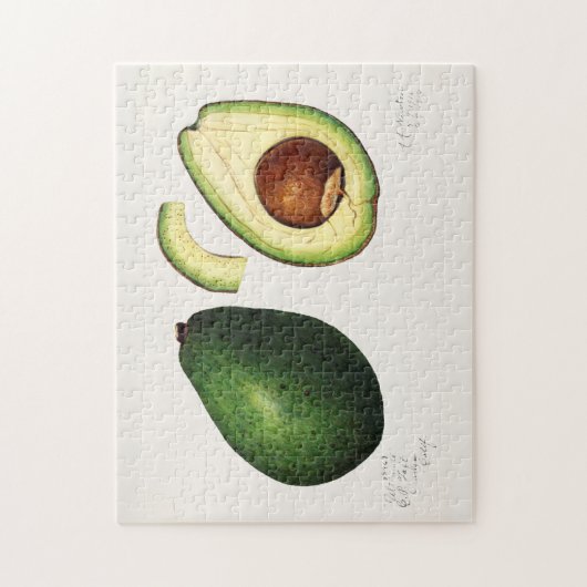 Avocado (Permea) Fruchtfarben Puzzle (Vertikal)