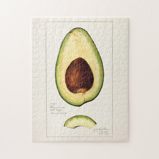 Avocado (Permea) Fruchtfarbenmalerei Jigsaw Puzzle (Vertikal)