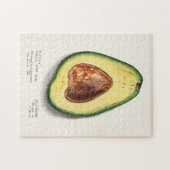Avocado (Persa) Fruchtfarben Puzzle (Horizontal)