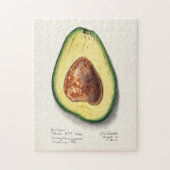 Avocado (Persa) Fruchtfarben Puzzle (Vertikal)