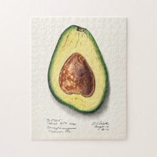 Avocado (Persa) Fruchtfarben Puzzle