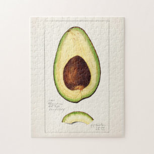 Avocado (Persea) Frucht Aquarellmalerei Puzzle