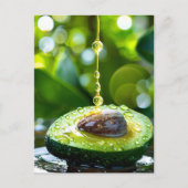 Avocado, Postüberquerung Postkarte (Vorderseite)