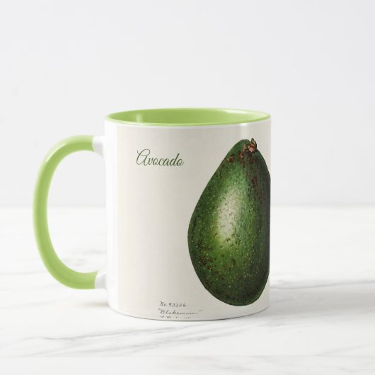 Avocado Tasse (Links)