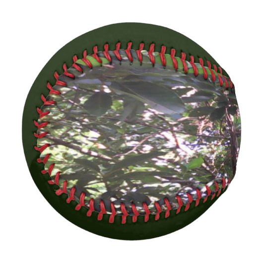 Avocado Tree Baseball (Vorderseite Links)