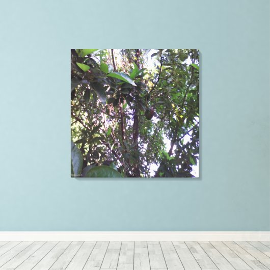 Avocado Tree - Dunkelgrüner Schnitt Leinwanddruck (Insitu (Holzboden))