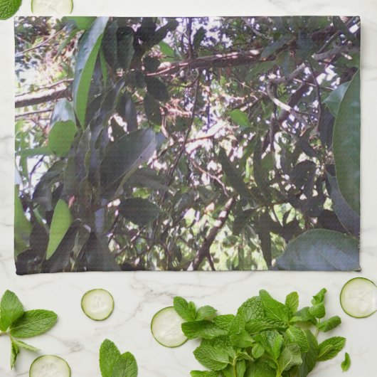Avocado Tree Geschirrtuch (Gefaltet)