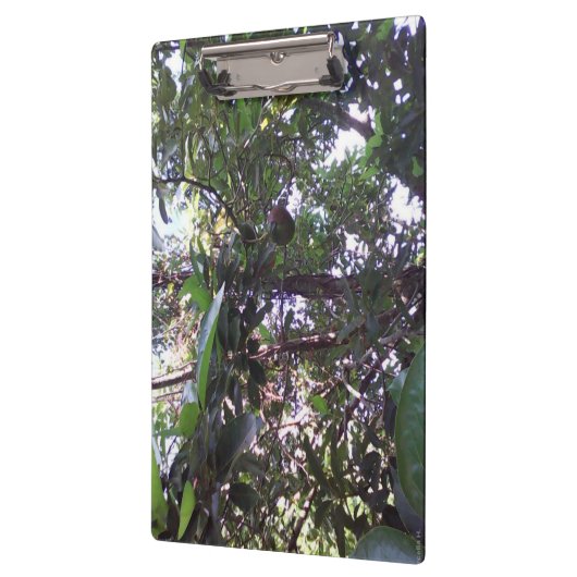 Avocado Tree Klemmbrett (Links)