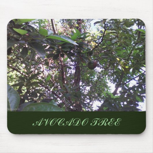 Avocado Tree Mousepad (Vorne)