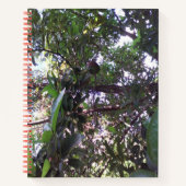 Avocado Tree Notizblock (Vorderseite)