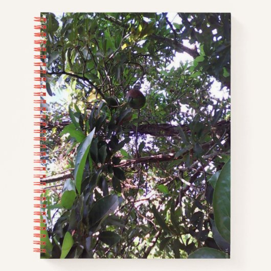 Avocado Tree Notizblock (Vorderseite)