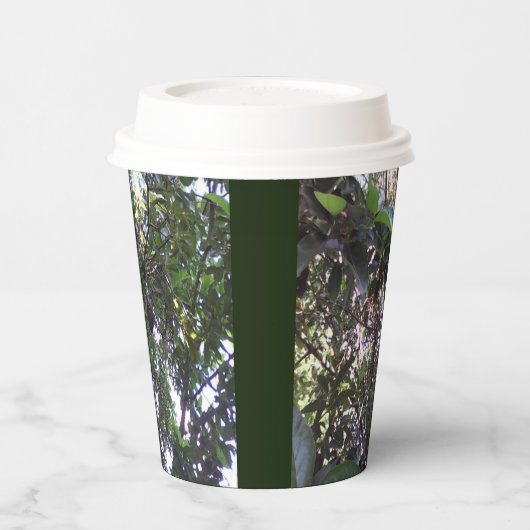 Avocado Tree Pappbecher (Links)