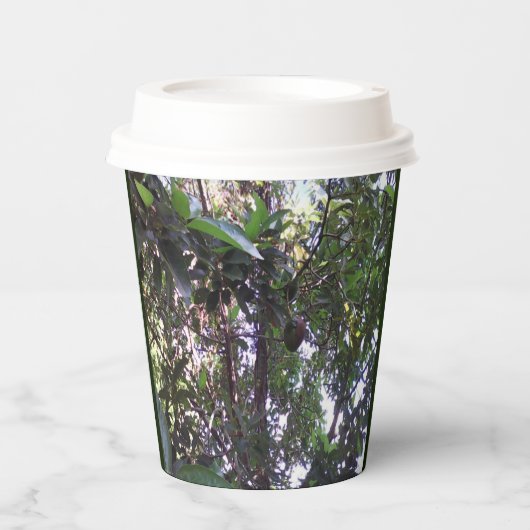 Avocado Tree Pappbecher (Vorderseite)