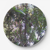 Avocado Tree Pappteller (Vorderseite)