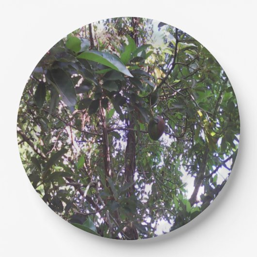 Avocado Tree Pappteller (Vorderseite)