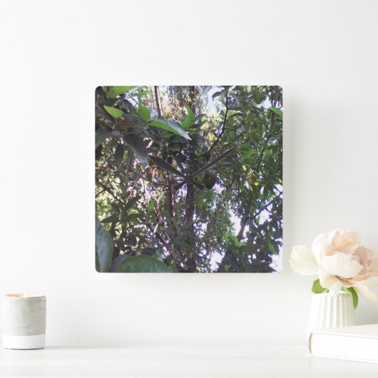 Avocado Tree Quadratische Wanduhr (Zuhause)