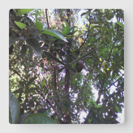 Avocado Tree Quadratische Wanduhr