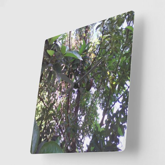Avocado Tree Quadratische Wanduhr (Winkel)