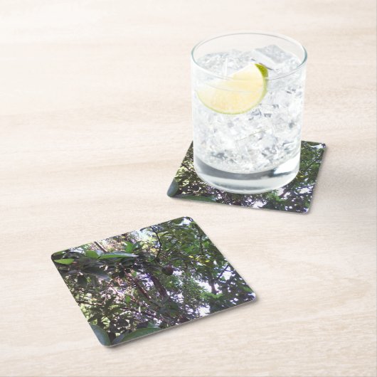 Avocado Tree Rechteckiger Pappuntersetzer (Vor Ort)