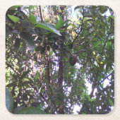 Avocado Tree Rechteckiger Pappuntersetzer (Vorderseite)