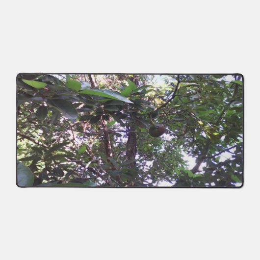 Avocado Tree Schreibtischunterlage (Vorderseite)