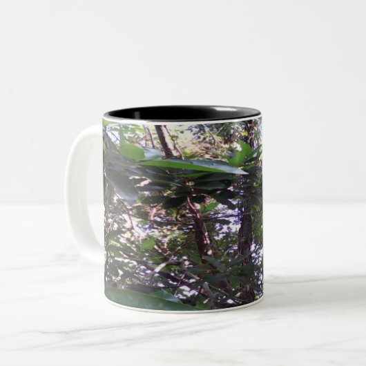 Avocado Tree Zweifarbige Tasse (Vorderseite Links)