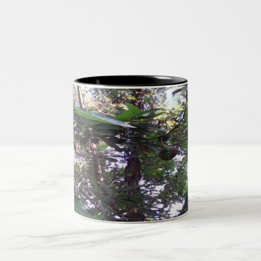 Avocado Tree Zweifarbige Tasse (Mittel)