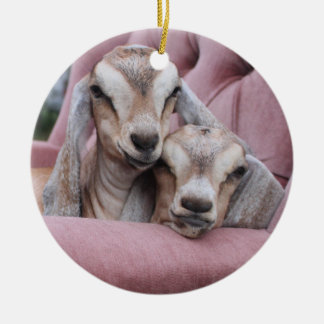 Avocado u. Smooshie Feiertags-Verzierung Keramikornament