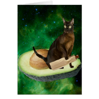 Avocadokatze