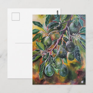 Avocados in der Herbstsonne Gemälde von Alfred Fox Postkarte
