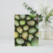Avocados Postkarte (Stehend Vorderseite)