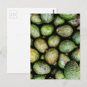 Avocados Postkarte (Vorne/Hinten)