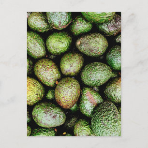Avocados Postkarte