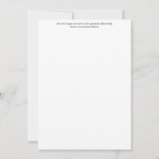 Avocet Greeting Card Einladung (Rückseite)