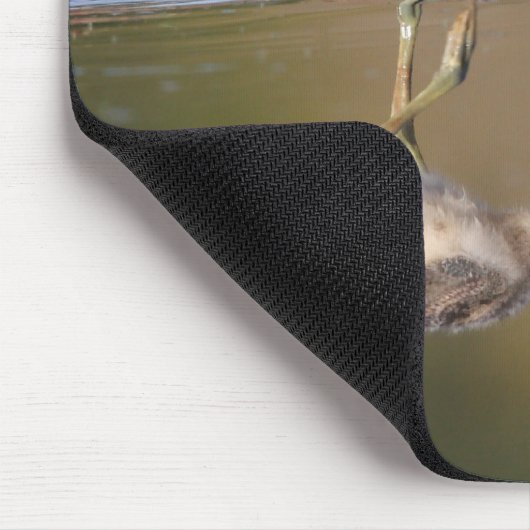Avocet-Küken Mousepad (Ecke)
