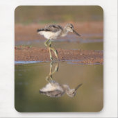 Avocet-Küken Mousepad (Vorne)
