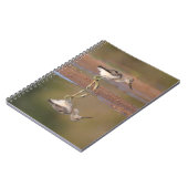 Avocet-Küken Notizblock (Linke Seite)