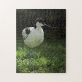 Avocet Puzzle (Vertikal)