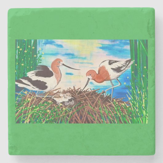 Avocet Steinuntersetzer (Vorderseite)