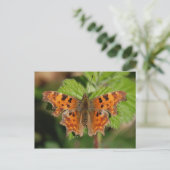 Avon gorge Commodschmetterling Postkarte (Stehend Vorderseite)