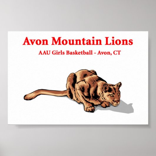 Avon Mountain Lions - Basketball Club Poster (Vorne)