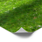 AVON RIVER VIEW Christchurch NZ Poster (Ecke)